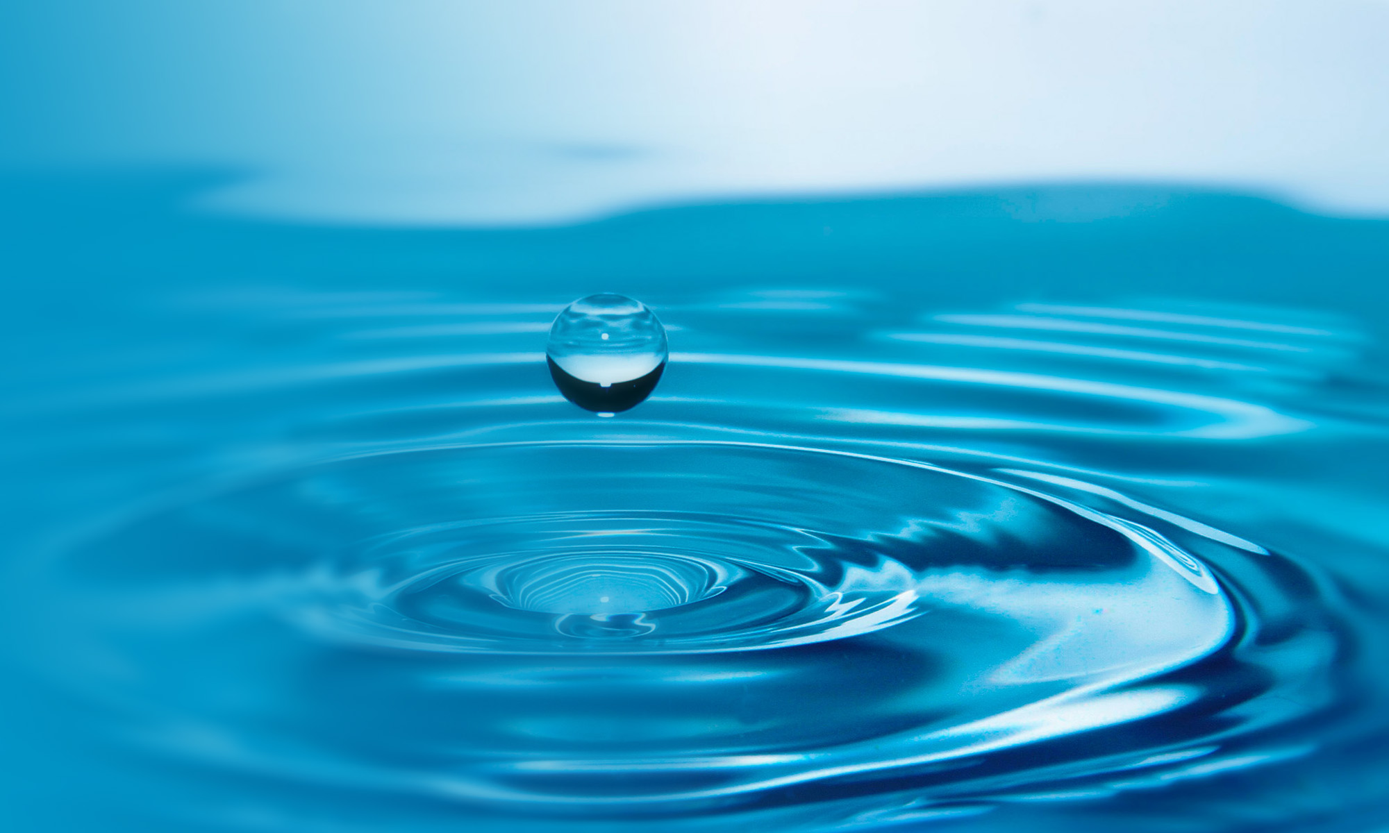 COMITÉ DE AGUA POTABLE RURAL PUANGUE